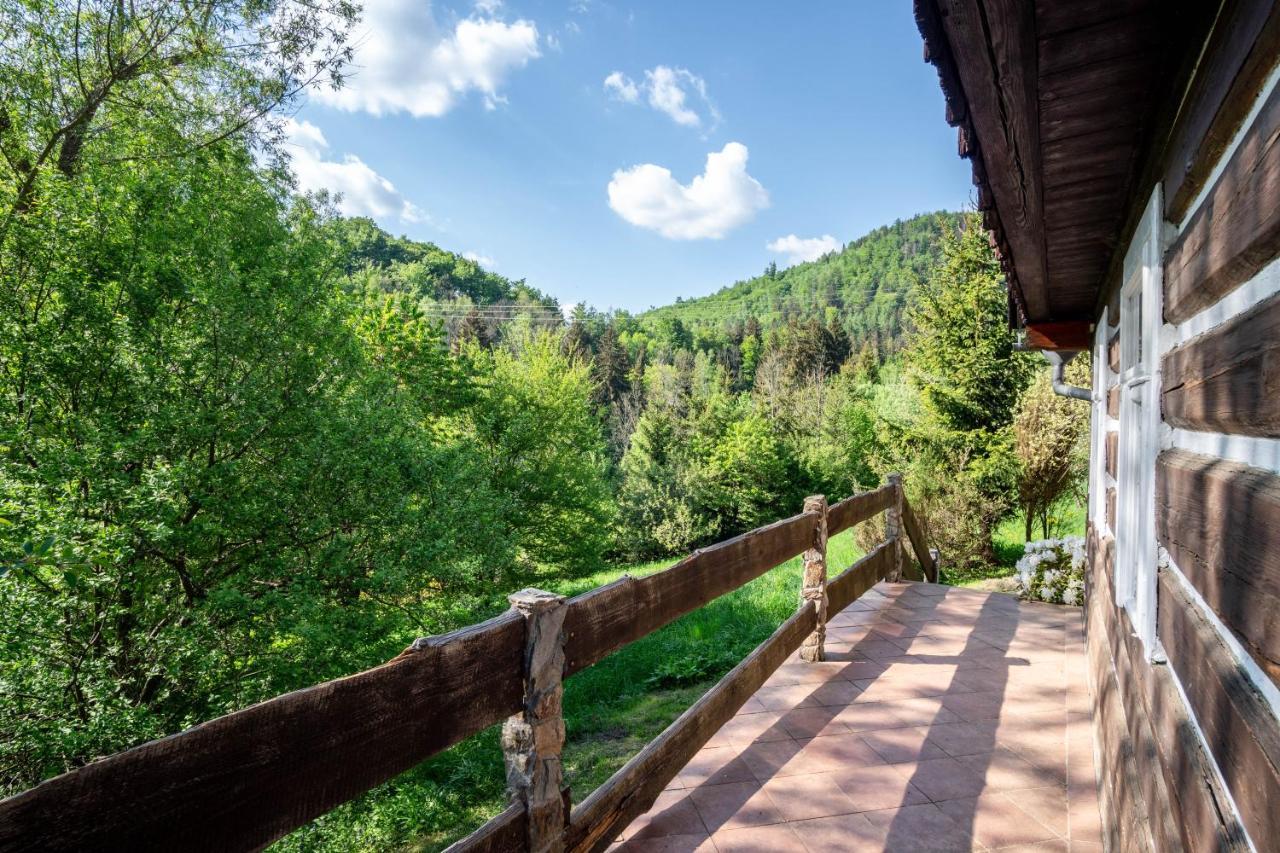 Appartamento Roubenka Mustelka Rokytnice nad Jizerou Esterno foto